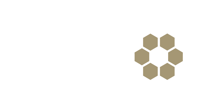 Natural-Paving-Logo